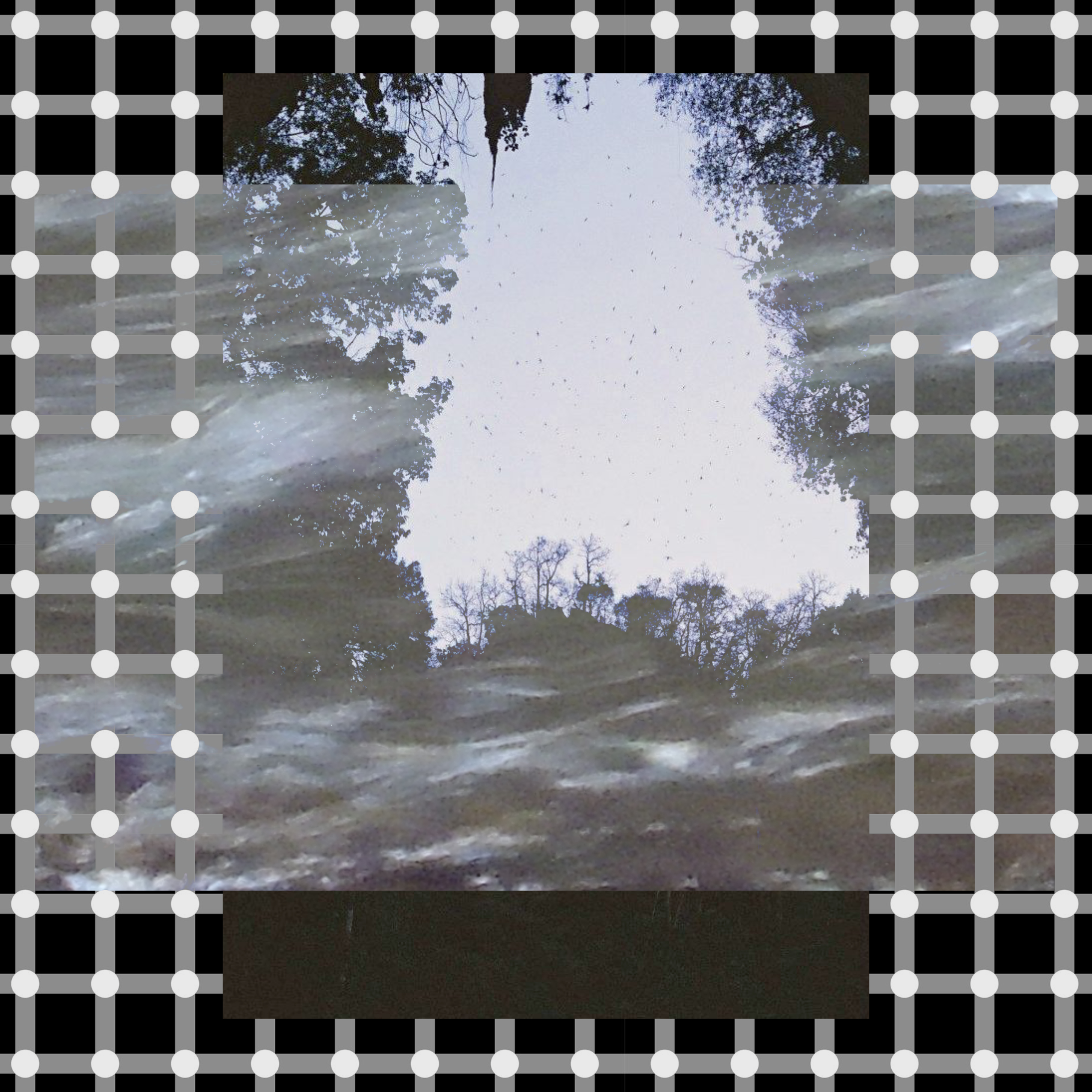 Lyndon Blue, Swift Head (Subterranean Heathcote Blue), 2017, multi-channel audio